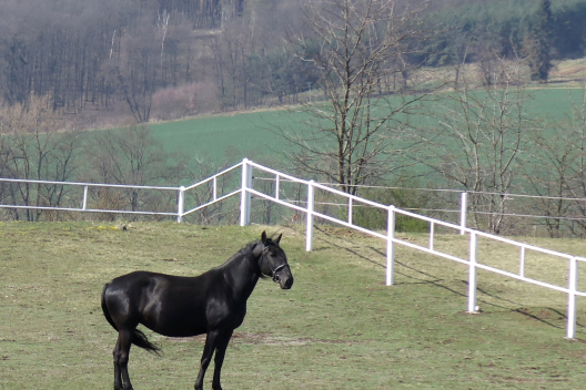 05_kobyla_sarca08