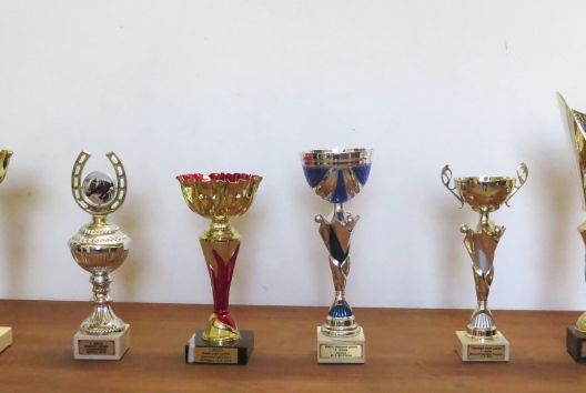 Trofeje