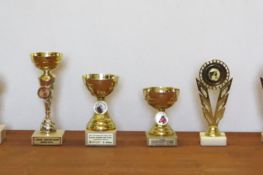 06_trofeje4