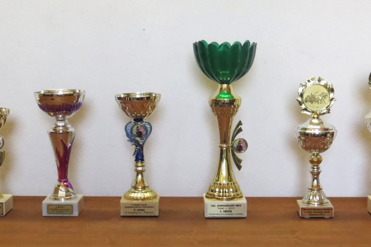 06_trofeje6